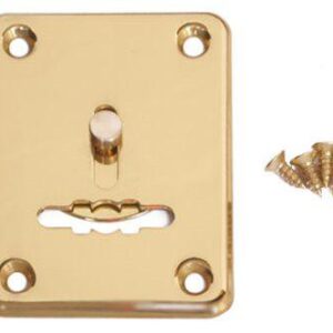 Декоративна накладка APECS DP-S-01-G-shutter золото (Китай)