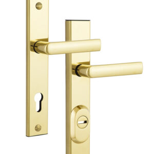 Захисна фурнітура ROSTEX R1/R4 R mov-mov 92 мм титан pvd 22 мм 38-55 мм 3 клас (Чехія)