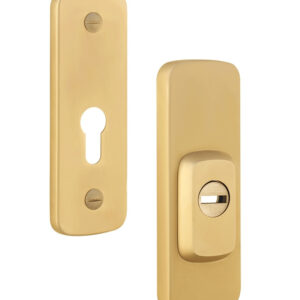 Протектор ROSTEX ASTRA R3 22 мм 38-55 мм титан PVD сатин (Чехія)