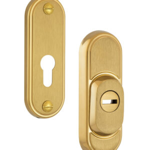 Протектор ROSTEX DECOR R3 DIN 22 мм 38-45 мм титан PVD матовий (Чехія)