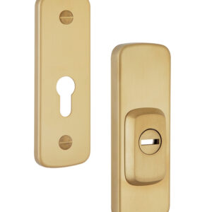 Протектор ROSTEX ASTRA R3 22 мм 38-55 мм нержавіюча сталь матовий титан PVD (Чехія)