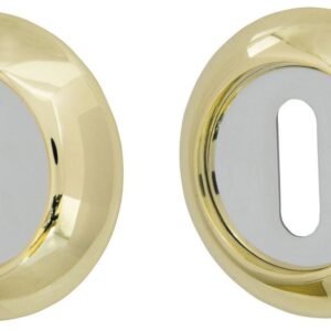 Накладка під циліндр Armadillo Normal PS-1 матове золото / хром (Китай)