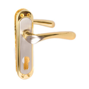 Ручка на планці PUNTO KUMRU STL kYale 62 мм SN/GP матовий нікель/золото (Китай)