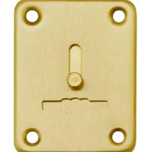 Декоративна накладка під сувальдний ключ Fuaro ESC081-SG-1 зі шторкою матове золото (Китай)