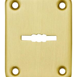 Декоративна накладка під сувальдний ключ Fuaro ESC082-SG-1 матове золото (Китай)