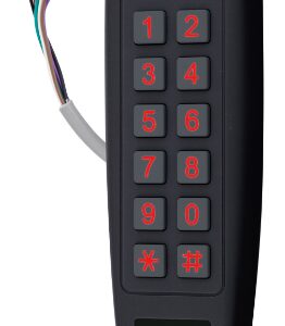 Електронний контролер ROSSLARE AYC-G54 автономний (Ізраїль)