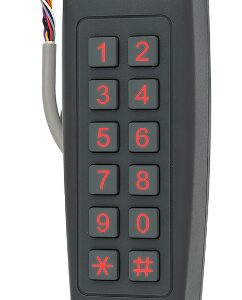 Електронний контролер ROSSLARE AC-G43 автономний зовнішній код (Ізраїль)