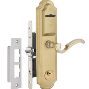 Готельний замок JWM F3-RR G-handle MIFARE ADEL Euro-A 38-55 мм лівий латунь (Китай)
