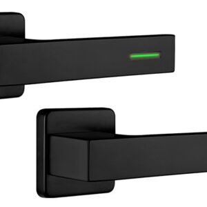 Ручка для дверей Rostex Ravena Lumino H53 38-52мм чорний (Чехія)