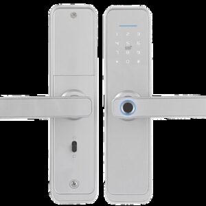 Біометричний розумний замок TTLOCK BOSS W (Китай)