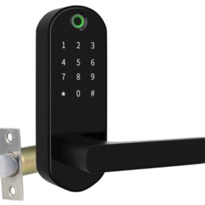 Біометричний замок для міжкімнатних дверей TTLOCK RIO чорний (Китай)