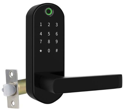 Біометричний замок для міжкімнатних дверей TTLOCK RIO чорний (Китай)