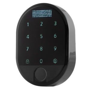 Електронний зчитувач DESi Fingerprint доступ за кодом і відбитком пальця, чорний (Туреччина)