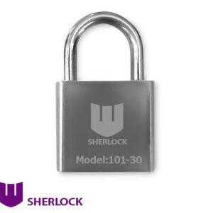 Навісний дверний замок Шерлок 101-30 3 ключі (Китай)