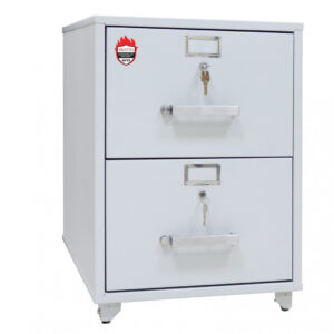 Вогнестійка картотека GRIFFON FF.2D.K (Україна)