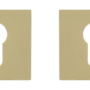 Накладка під циліндр GAVROCHE Z25-EH золото PVD (Китай)