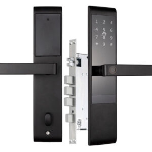 Біометричний замок для вуличного встановлення TTLOCK MAX (Китай)