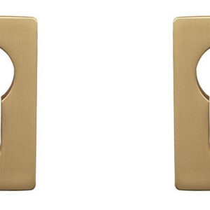 Накладка для циліндра GAVROCHE X1-ЕН золото матове (Китай)