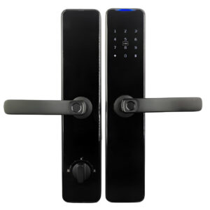 PES Collie чорний