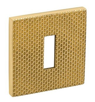 Накладка на ключ Tupai 4220 5SQ/T2 золото/золото матове (Португалія)