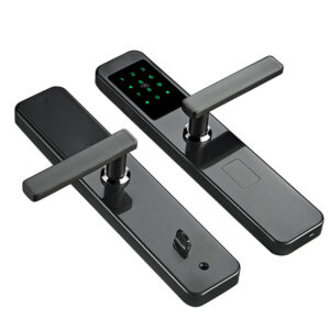 Біометричний замок з Wi-Fi TTLOCK MASTER FP чорний (Китай)