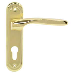 Ручка на планці RDA Arona латунь/матова латунь (під замок 1025) (Китай)