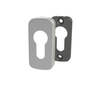 Накладки на циліндр Astex GSR 62_30 срібні (F1/PC) (Україна)