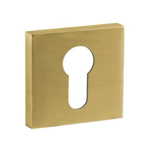 Накладка для циліндра JNF PZ IN.04.29Q.Y08N.TG латунь (Португалія)