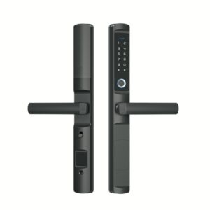 Розумний замок Akubela F2 ZigBee (Китай)