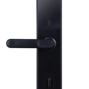 Розумний замок Akubela C6 ZigBee (Китай)